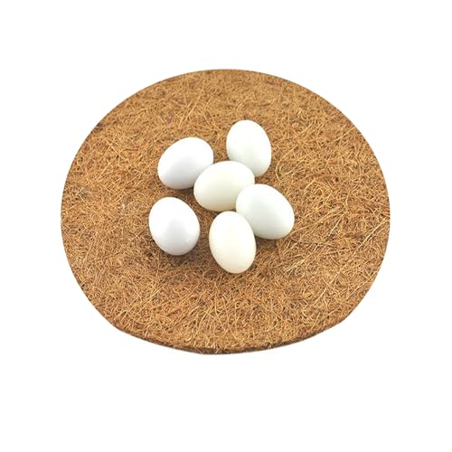 Ecjiuyi 10Pcs Pigeon Nest Pads,Racing Pigeon Loft Supplies,Coconut Fiber Bird Breeding Egg Nests Bowls Mat for Finch Chicken Homer - Image 4