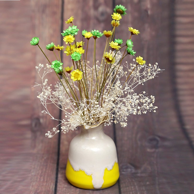 MLSG 100 Stems Natural Dry Flowers Brazilian Small Star Daisy Decorative Dried Flowers Mini Daisy Chamomile Bouquet for Wedding Floral Arrangements Home Decorations (Autumn Color) - Image 4