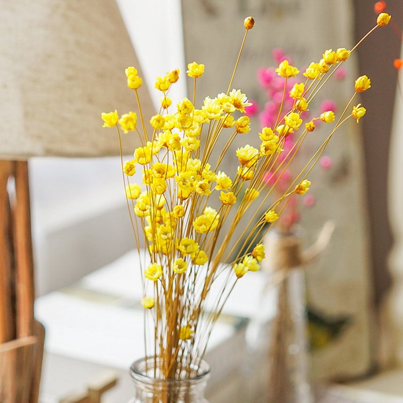 MLSG 100 Stems Natural Dry Flowers Brazilian Small Star Daisy Decorative Dried Flowers Mini Daisy Chamomile Bouquet for Wedding Floral Arrangements Home Decorations (Autumn Color) - Image 2
