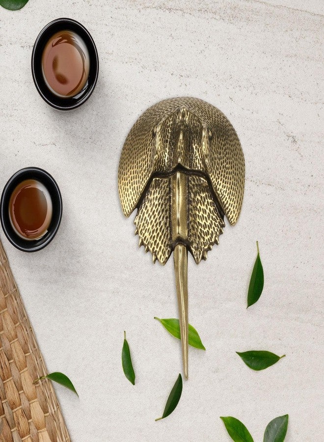 DYNWAVE Horseshoe Crab Sea Life Figurine Brass Statue Handcrafted Mini Decor Sea Creatures Sea Creature Model for Shelf Cafe Desktop - Image 5