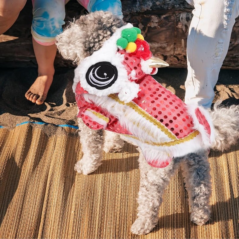 Medium Size 44X20Cm Dog Lion Costume Funny Dance Party Festive Outfit - Image 5