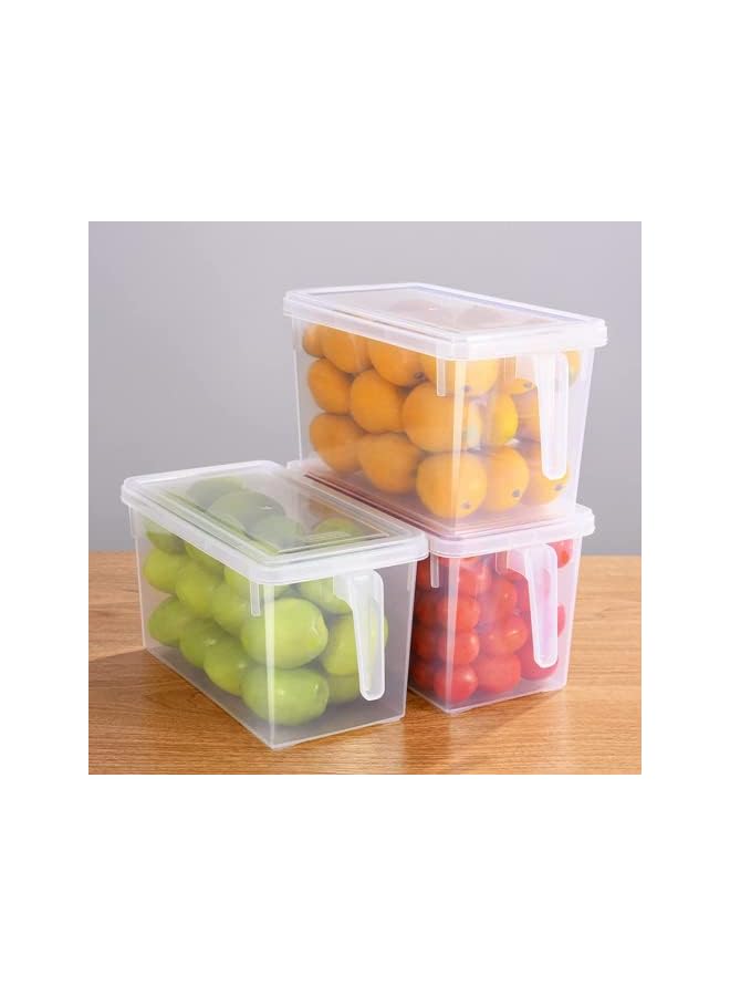 erorex Organizer Plastic Storage Containers with Lid Square Food Storage Organizer Stackable Refrigerator Organizer for Fruits Vegetable Egg Meat 5L Box with Handle(Large Size Set of 4) - Image 5