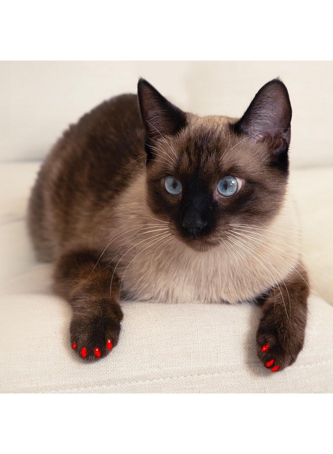FELINE Soft Claws Safe Scratch-Free Solution for Cats - CLS (Cleat Lock System), Size: Large, Color: Halloween (Orange & Black) - Image 4