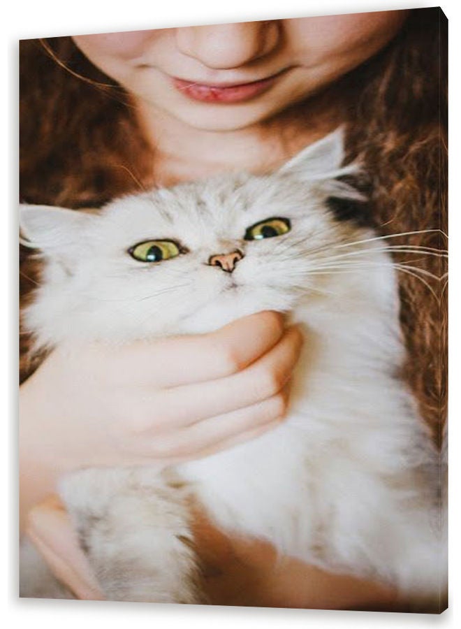 NIBEMINENT Cat Themed Canvas Wall Painting Multicolour S - Image 1