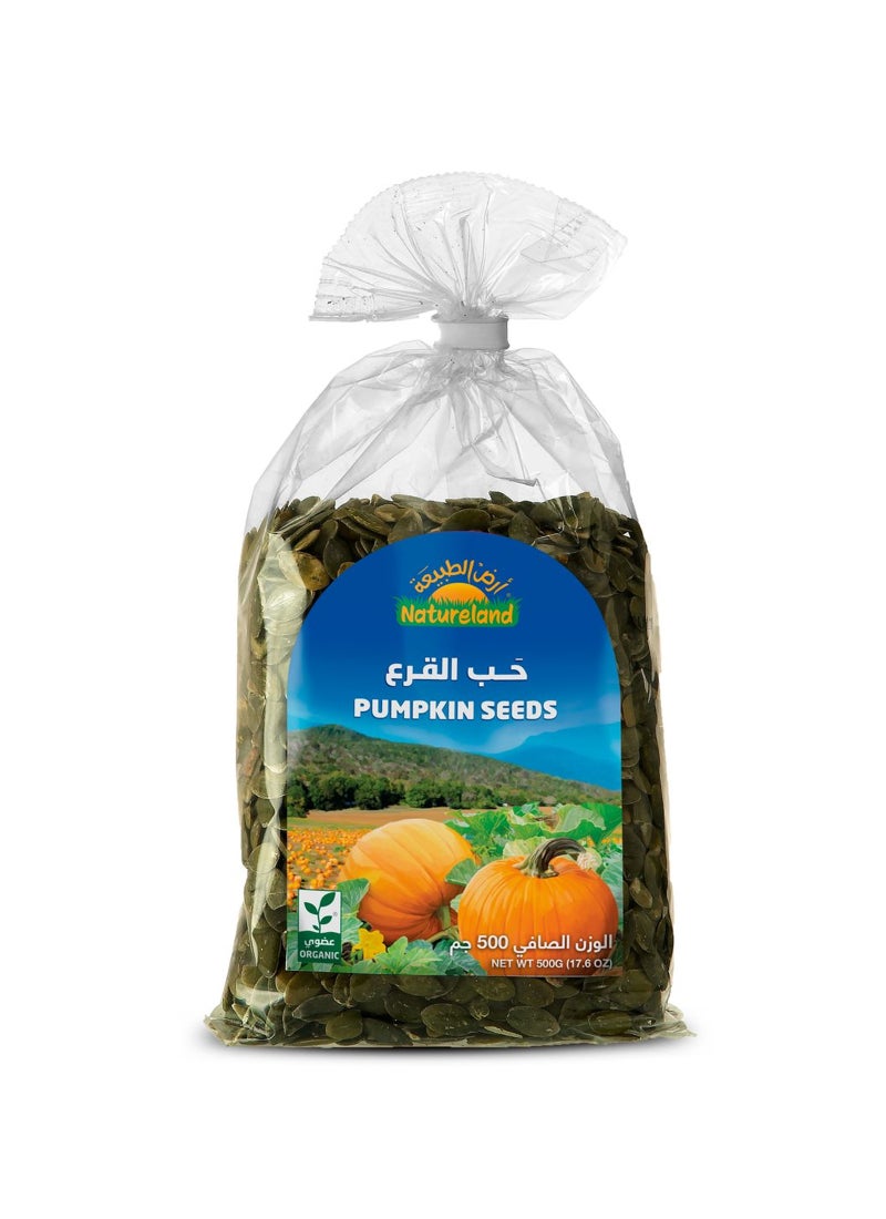 أرض الطبيعة بذور اليقطين المقشرة 500جم - Image 1