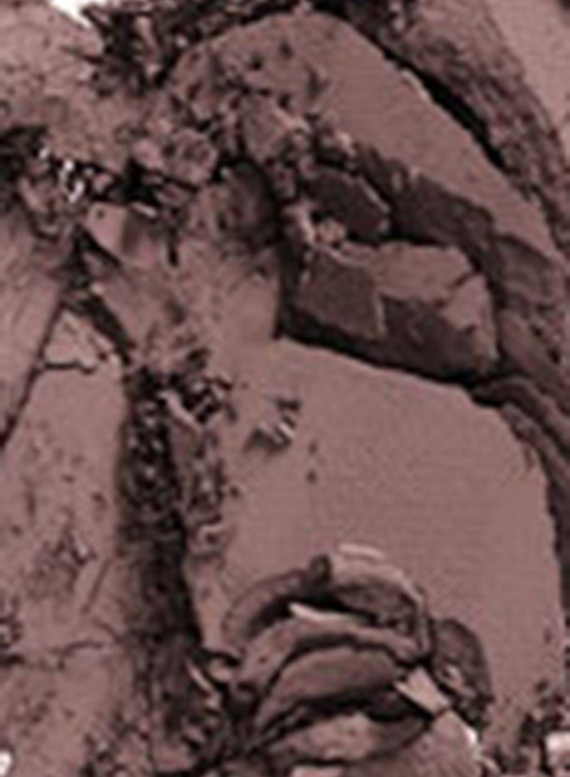 ماك كوزمتيكس ظلال عيون سويس شوكليت - Image 2