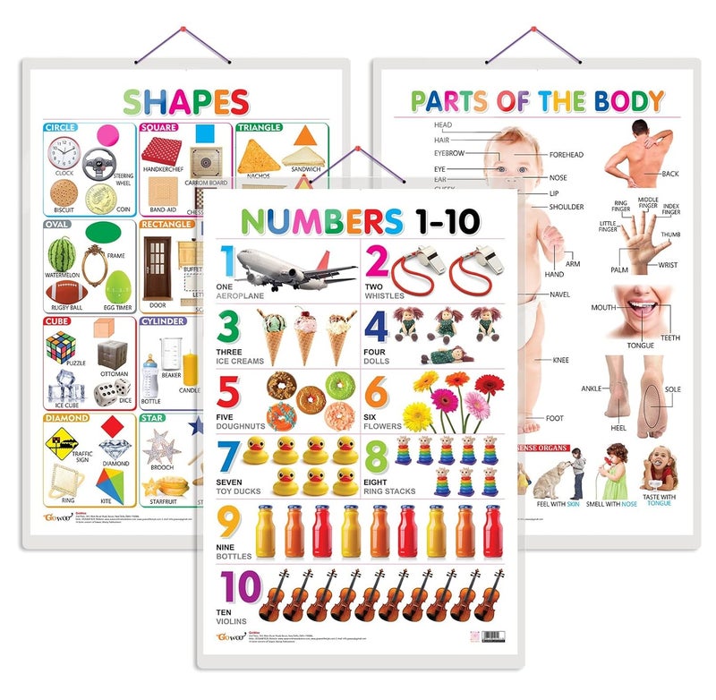 GoWoo Set of 3 Shapes, Parts of The Body and Numbers 1-10 Chart for Kids | 20"X30" inch |Non-Tearable and Waterproof | Double Sided Laminated | Perfect for Homeschooling, Kindergarten and Nursery Students - Image 1