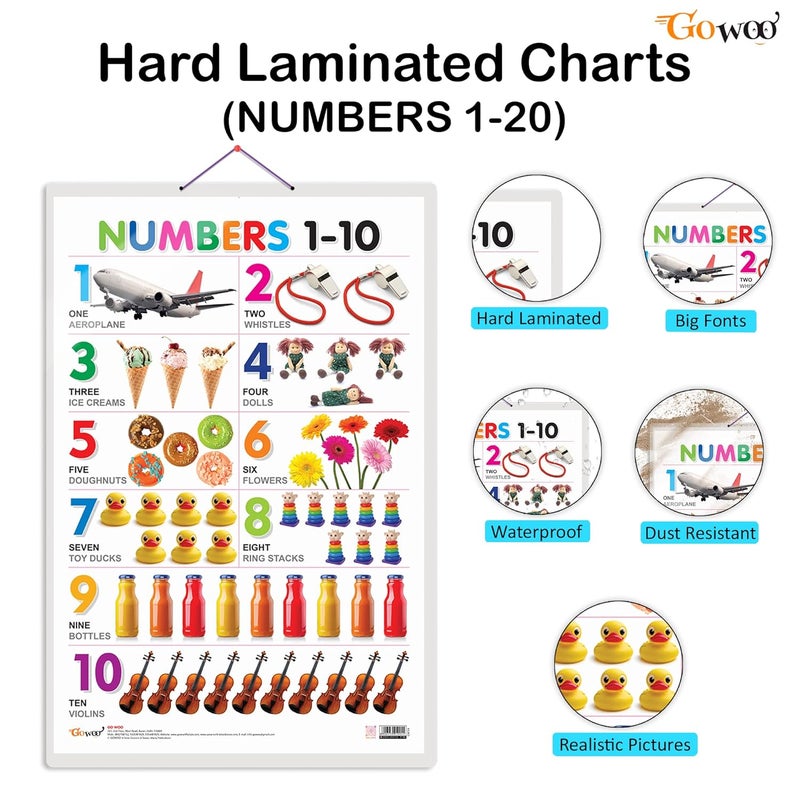 GoWoo Set of 3 Shapes, Parts of The Body and Numbers 1-10 Chart for Kids | 20"X30" inch |Non-Tearable and Waterproof | Double Sided Laminated | Perfect for Homeschooling, Kindergarten and Nursery Students - Image 2