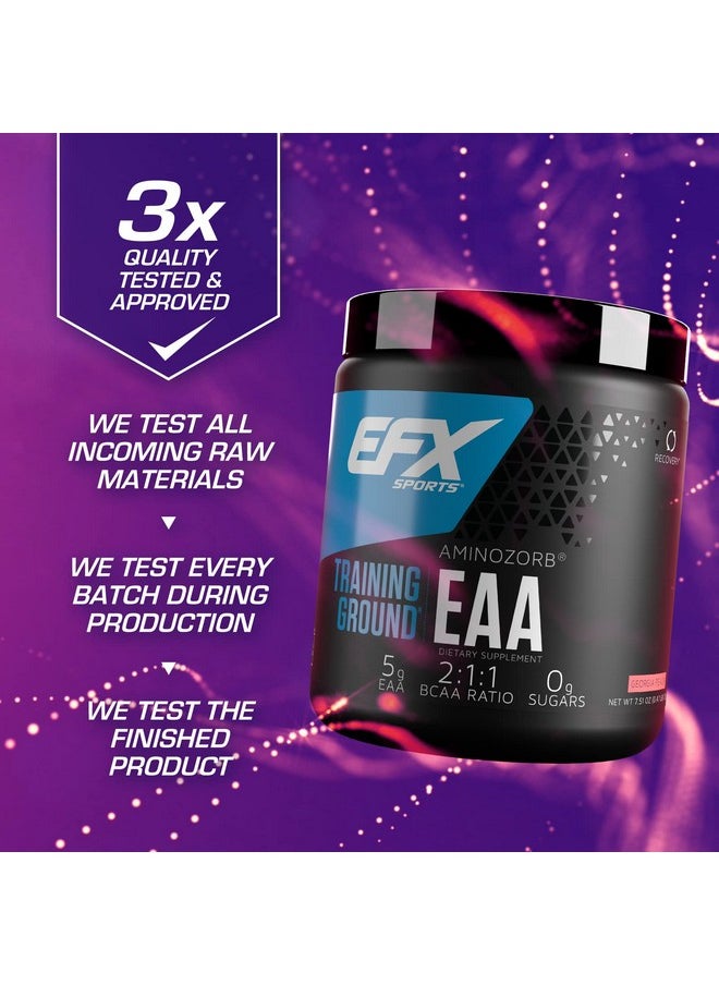 EFX SPORTS Training Ground Eaa ; Essential Amino Acids Supplement ; Energy & Protein Synthesis ; Pre Intra Or Post Workout ; 40 Servings (Georgia Peach)  - Image 4