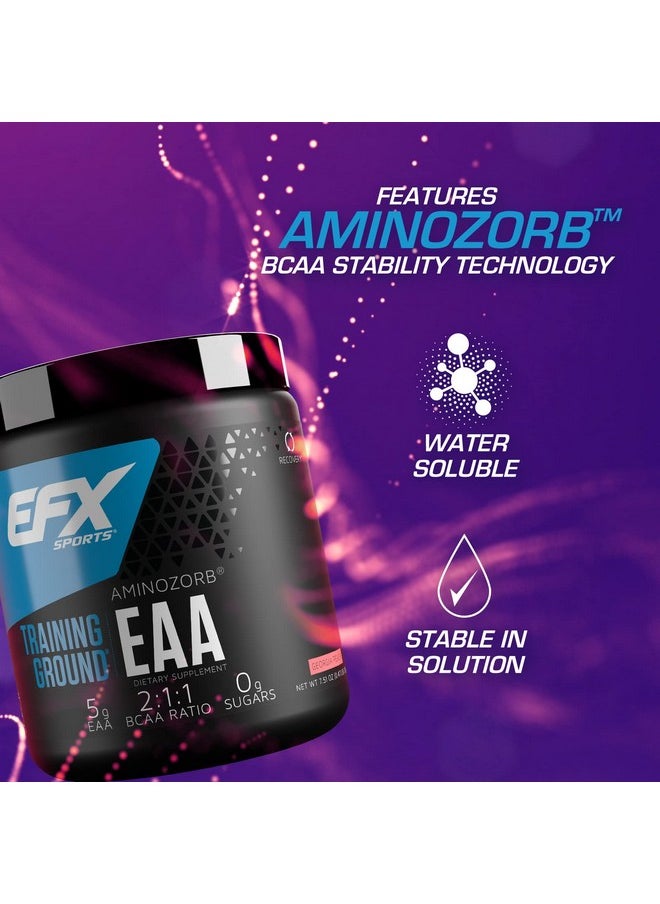 EFX SPORTS Training Ground Eaa ; Essential Amino Acids Supplement ; Energy & Protein Synthesis ; Pre Intra Or Post Workout ; 40 Servings (Georgia Peach)  - Image 3