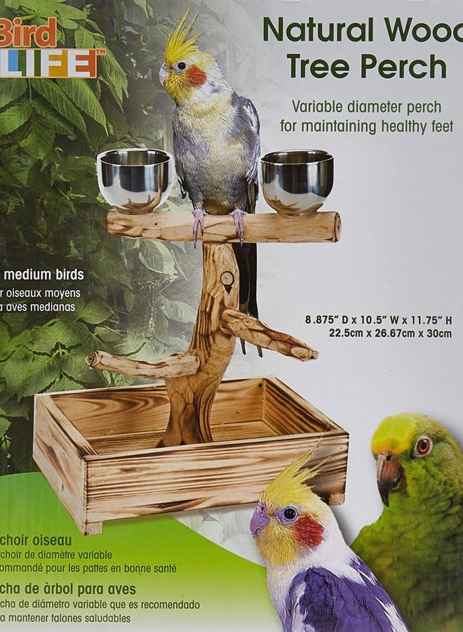 Penn Plax PENN-PLAX Bird-Life Natural Wood Tree Perch for Small and Medium Birds – Includes Food and Water Bowls with Drop Tray – Medium - Image 3