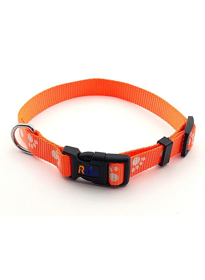 Nylon Collar And Leash Paw Printed, Adjustable Nylon Colour-Full Collar Leash Set Ideal For Puppies, Dogs And Cats (15 Mm, Orange Colour) - Image 2