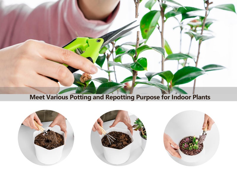 Josteve Plant Repotting Mat, 5Pcs Succulent Tools Mini Garden Small Gardening Tools Indoor, Pruning Shear Gardening Scissor, Hand kit for Bonsai, Cactus, Fairy, Houseplant Transplanting, Seedling - Image 2