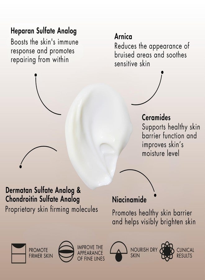 Sente Senté Dermal Repair Body Cream | Restore Skin's Barrier | Soothes Sensitive Skin | Promotes New Collagen Production for Firmer Skin | 6 Fl Oz - Image 3