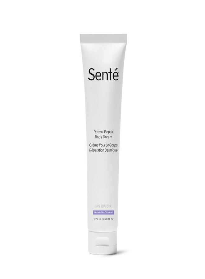 Sente Senté Dermal Repair Body Cream | Restore Skin's Barrier | Soothes Sensitive Skin | Promotes New Collagen Production for Firmer Skin | 6 Fl Oz - Image 1