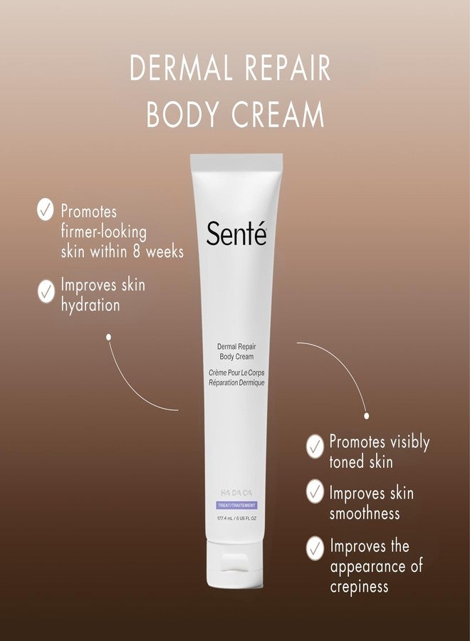 Sente Senté Dermal Repair Body Cream | Restore Skin's Barrier | Soothes Sensitive Skin | Promotes New Collagen Production for Firmer Skin | 6 Fl Oz - Image 2