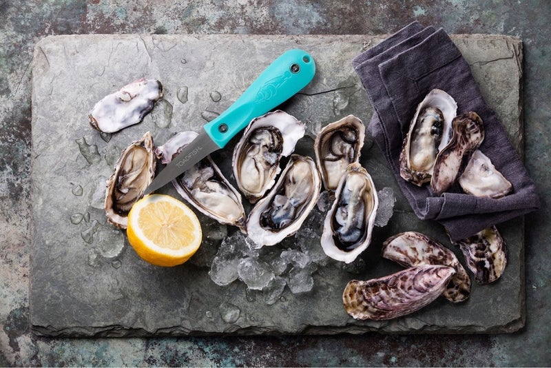 Toadfish Oyster Shucking Knife, Oyster Opener Tool, Oyster Knife - Image 3