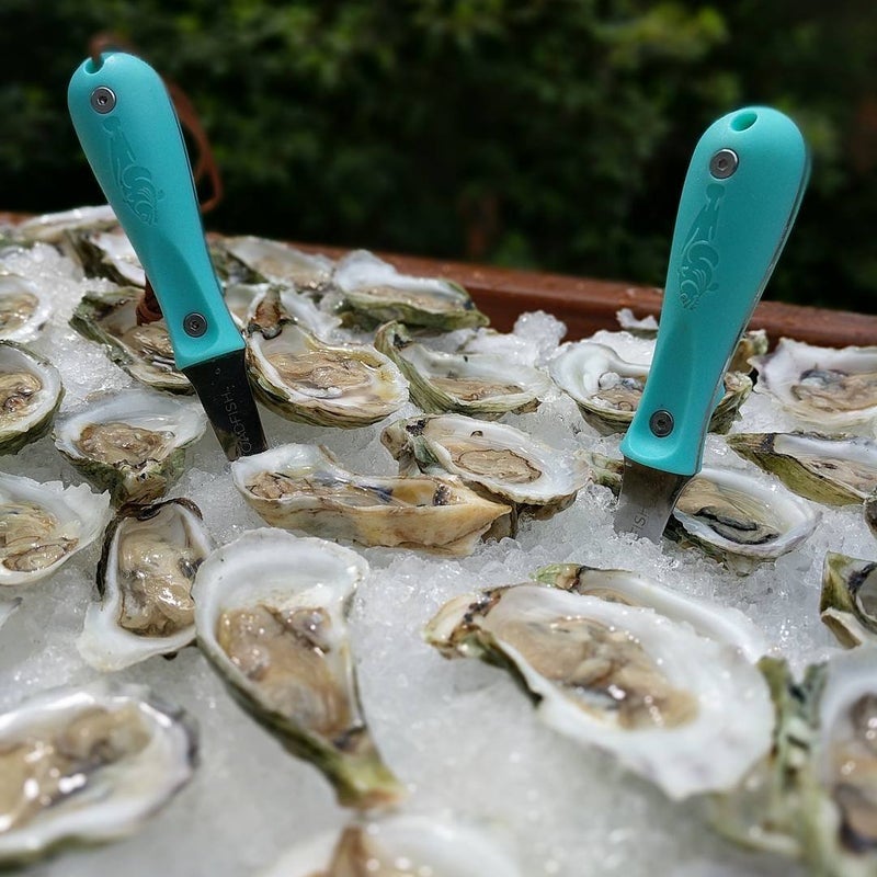Toadfish Oyster Shucking Knife, Oyster Opener Tool, Oyster Knife - Image 4