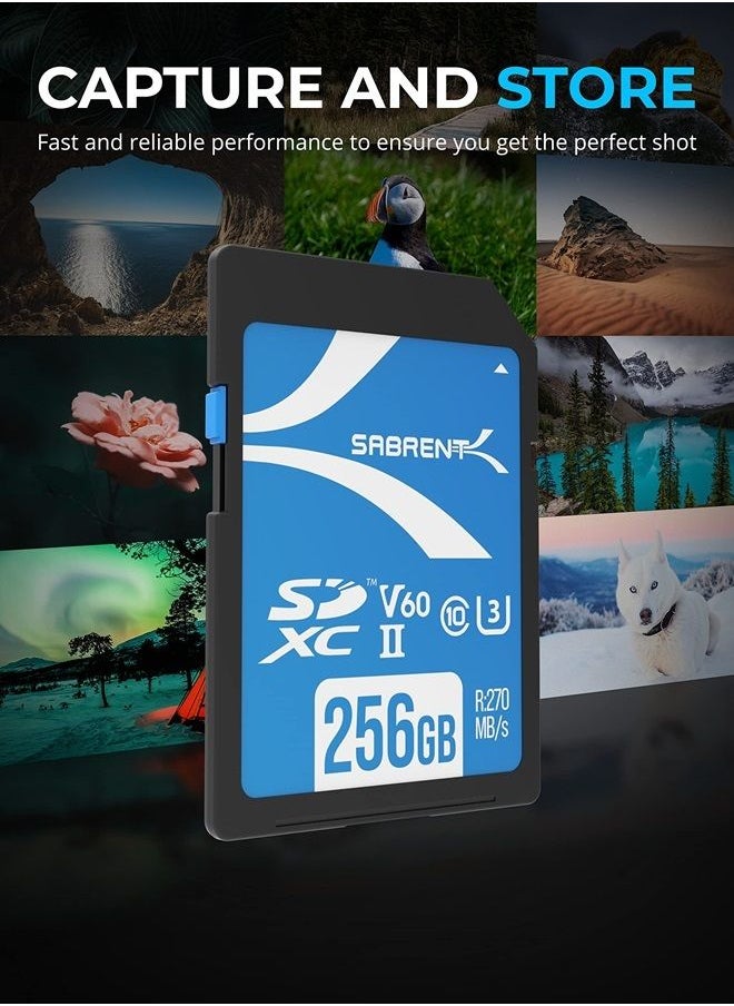 SABRENT - Rocket V60 256GB SD UHS-II Memory Card R270MB/s W170MB/s (SD-TL60-256GB) - Image 1