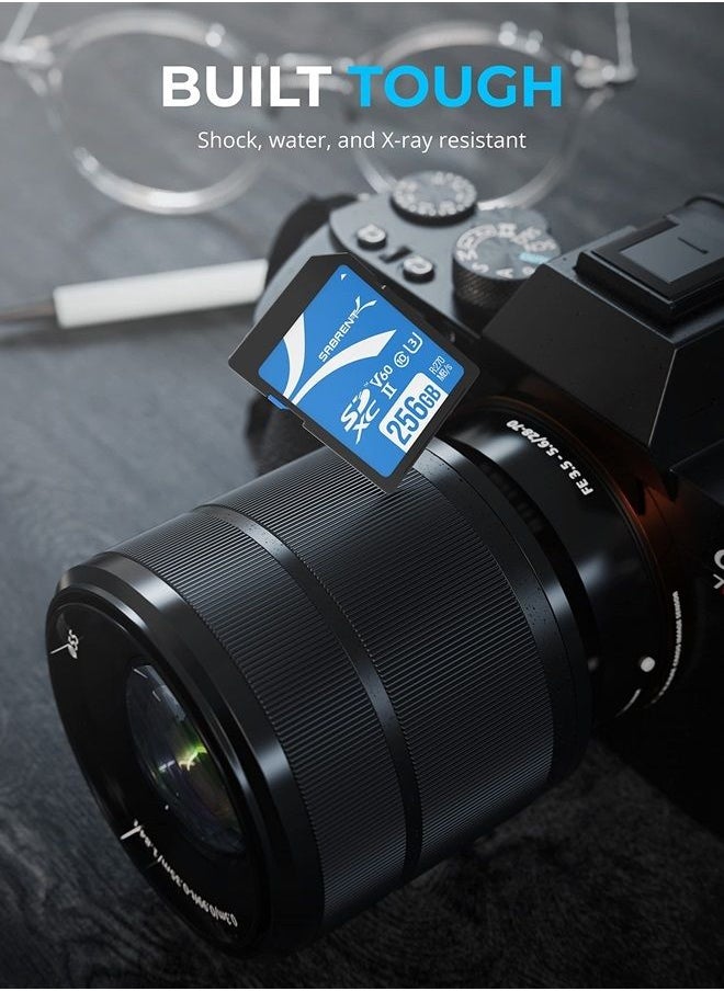 SABRENT - Rocket V60 256GB SD UHS-II Memory Card R270MB/s W170MB/s (SD-TL60-256GB) - Image 1