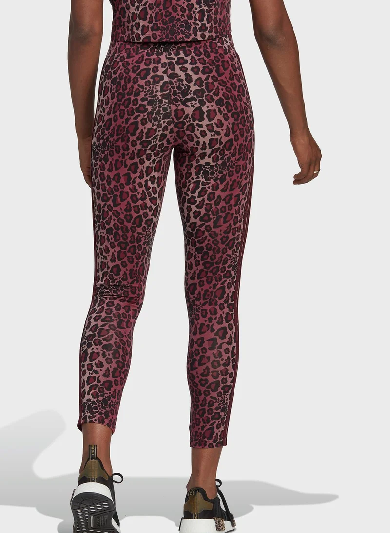 adidas Originals Trefoil 7/8 Leggings