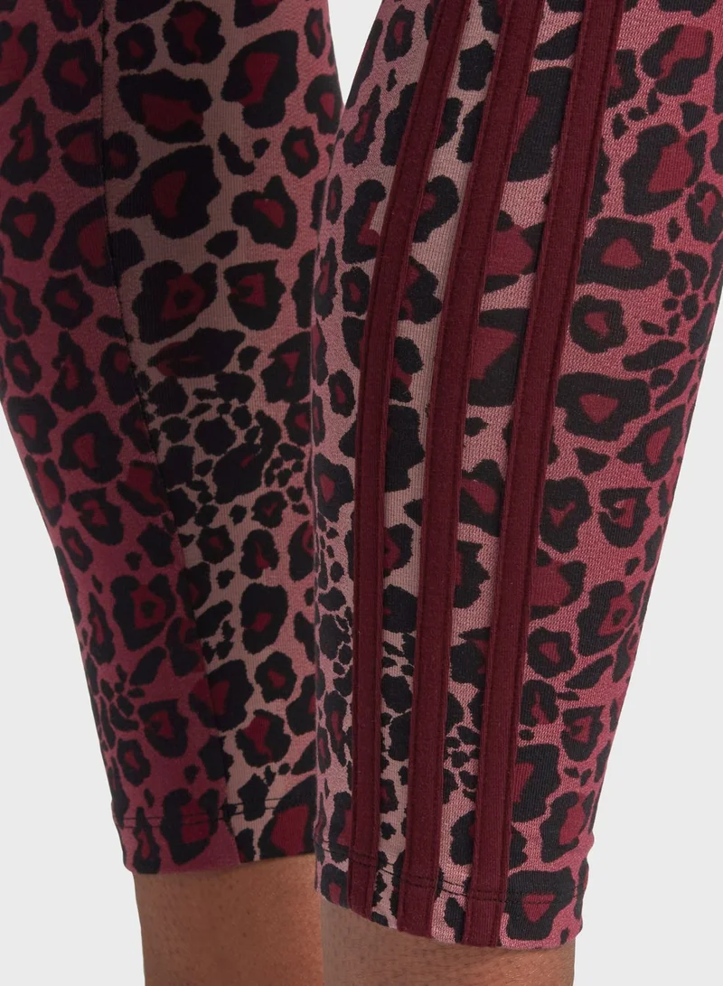 adidas Originals Trefoil 7/8 Leggings