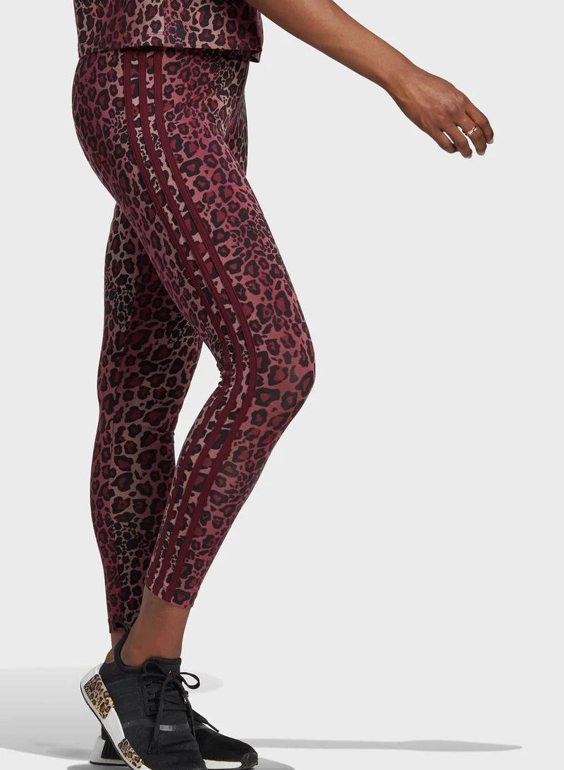 adidas Originals Trefoil 7/8 Leggings