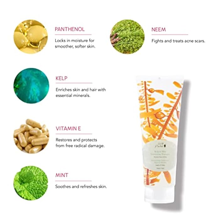 100 % Pure 100% PURE Kelp & Mint Volumizing Shampoo Purifying Hydration & Deep Detox - Botanical Body Boost for Dry, Damaged Thinning Hair, Promotes Healthy Growth for Women & Men - Sulfate Free - 8 Fl Oz - Image 3