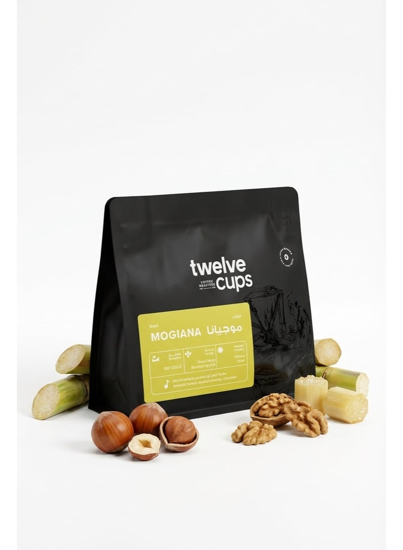 12 Cups Foundation Day Coffee Beans Box - 4x250g fit for V60 and espresso, Pour Over ,whole Beans - Image 5
