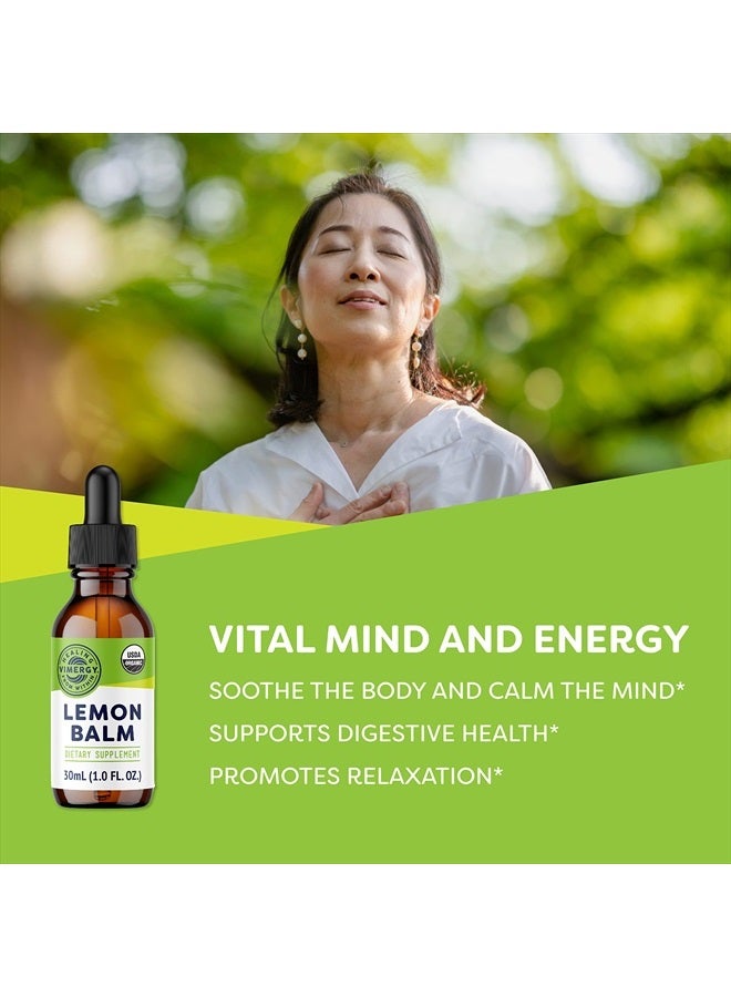 Vimergy مستخلص بلسم الليمون العضوي من وزارة الزراعة الأمريكية، 30 حصة – يدعم الشعور بالهدوء والاسترخاء – تخفيف من التوتر العصبي العرضي – خالي من الكحول – خالي من الغلوتين، غير معدل وراثيًا، كوشير، نباتي و باليو (30 مل) - Image 2