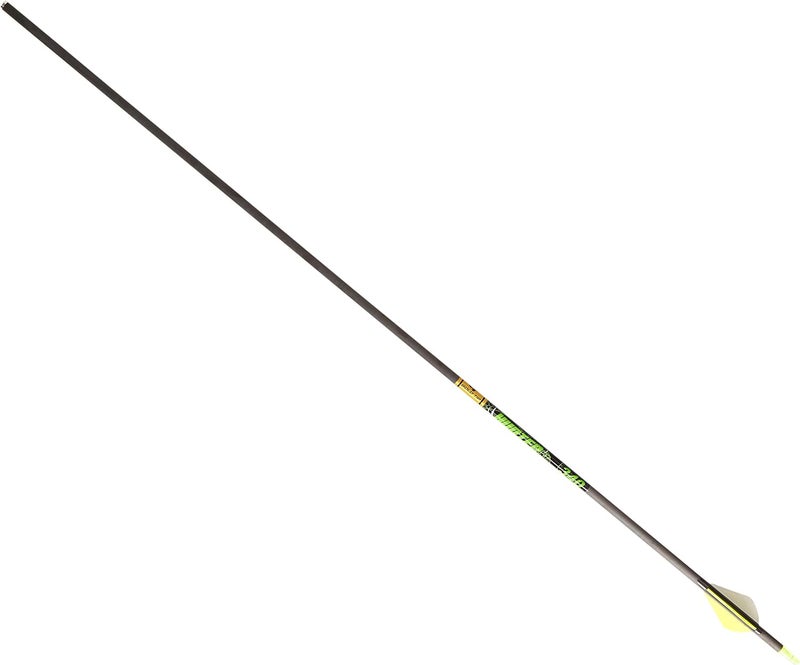 Gold Tip Hunter XT Arrows with Raptor Vane (Pack of 6) - Image 1