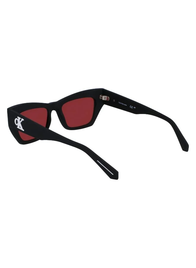 Calvin Klein Jeans  FULL RIM INJECTEDCALVIN KLEIN JEANS SUN CKJ23641S  | Best Price UAE