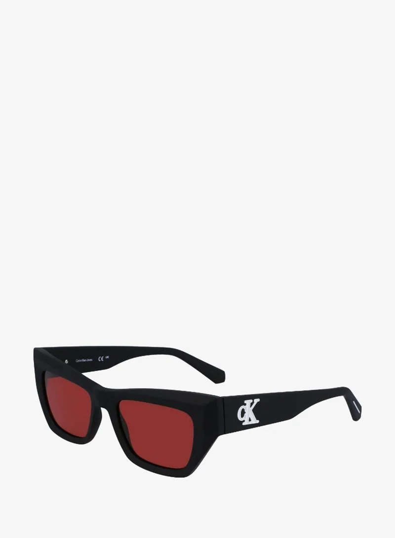 Calvin Klein Jeans FULL RIM INJECTEDCALVIN KLEIN JEANS SUN CKJ23641S