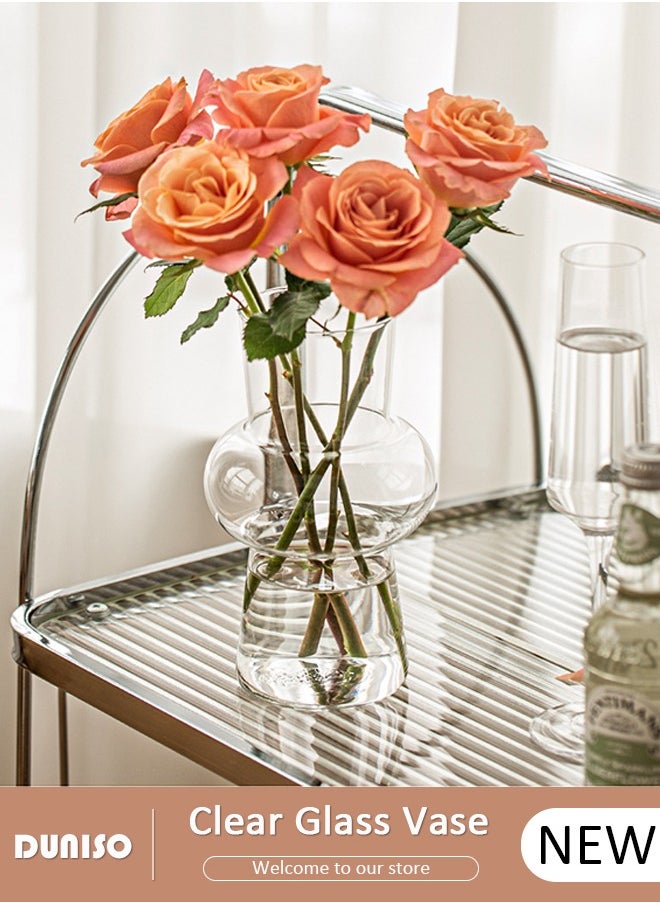 DUNISO Creative Clear Glass Vase Craft Aesthetic Decorative Small Flower Vase Hydroponic Plant Desktop Ornament Modern Irregularity Vase for Flowers Rose Home and Office  - Image 1