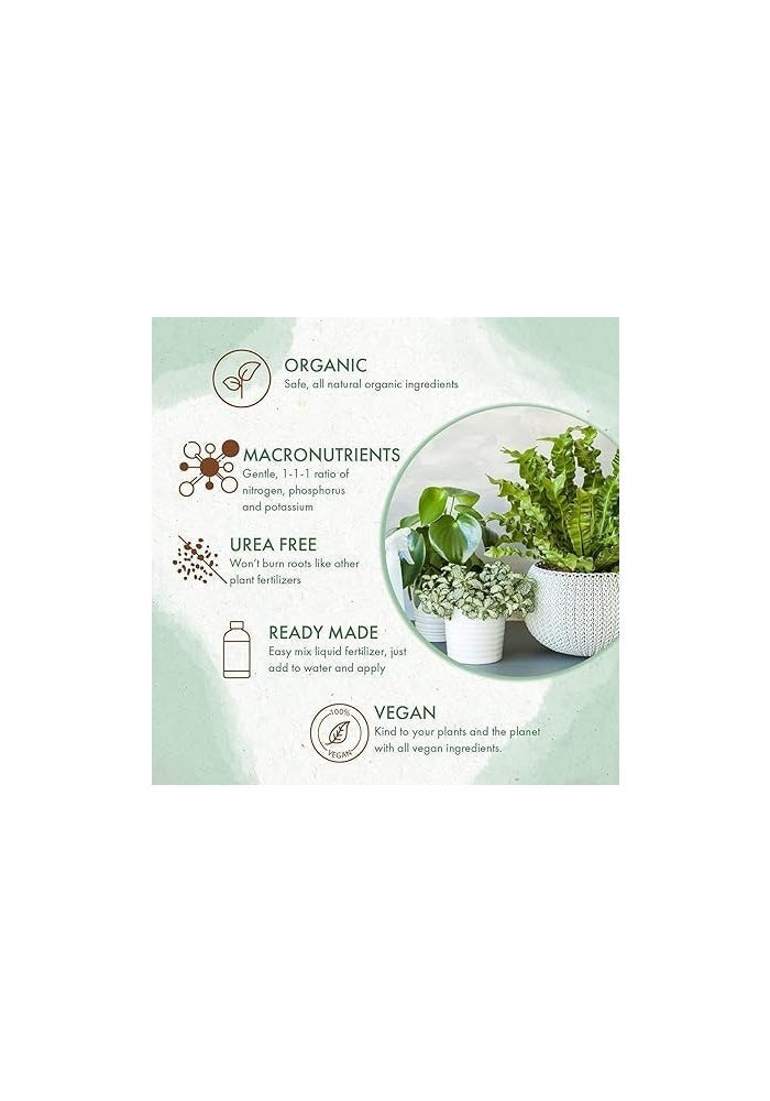 GrowFast (Pack of 2) Grow Fast Liquid Fertilizer 2 Liters - Ideal for Indoor & Outdoor Plants - Image 5