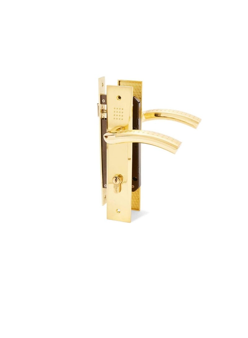 villa Door Lockset (lockbody) Complete Set with Handle and Lock Gold Color Gold 25 X 5 X 3 centimeter - Image 3