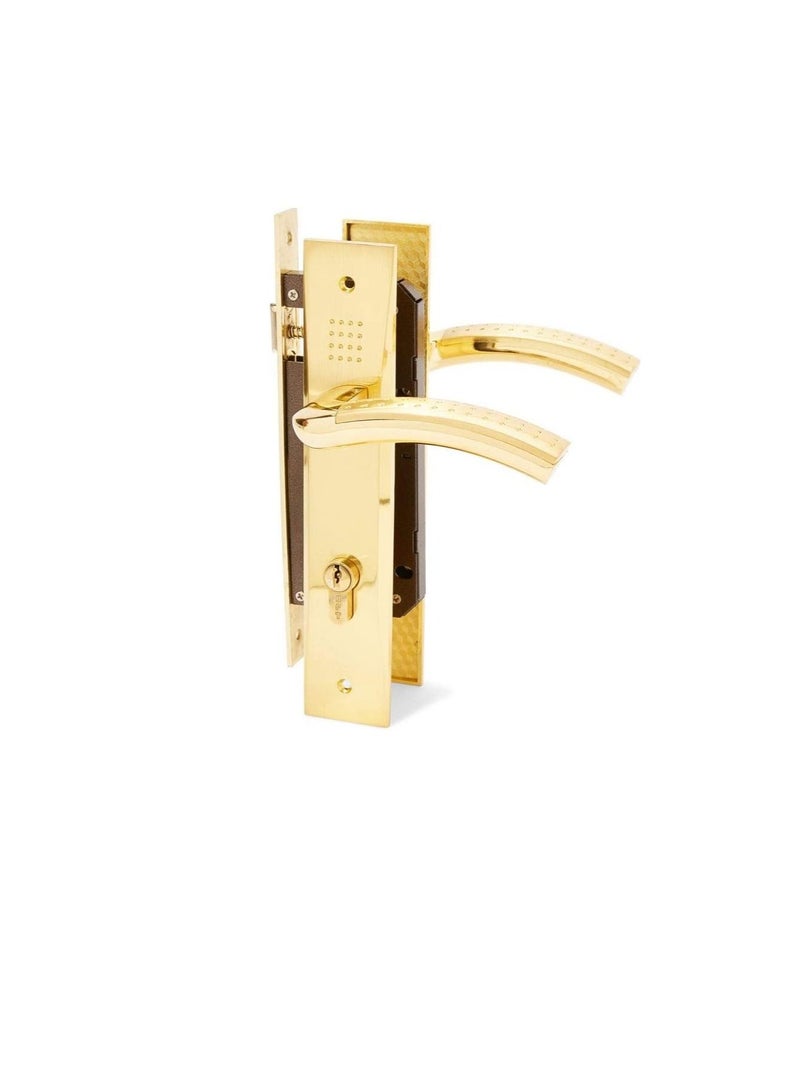 villa Door Lockset (lockbody) Complete Set with Handle and Lock Gold Color Gold 25 X 5 X 3 centimeter - Image 1