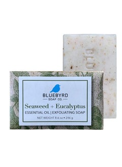 BLUEBYRD SOAP CO. BLUEBYRD Soap Eucalyptus  Seaweed Exfoliating Large Soap Bar 100 Vegan Cold Press Scented wEssential Oils Body Soap Scrub for Men  Women Natural Oatmeal Shea Butter Olive Oil 86oz 