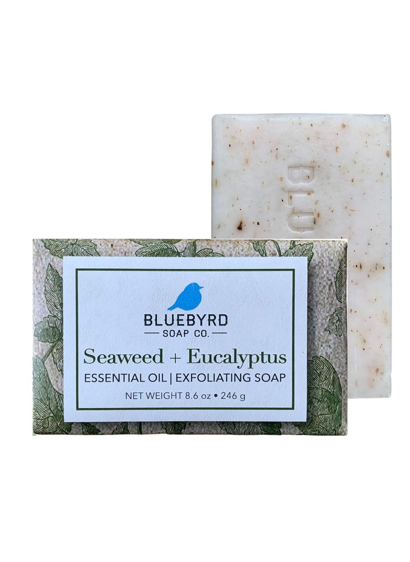 BLUEBYRD SOAP CO. - BLUEBYRD Soap Eucalyptus  Seaweed Exfoliating Large Soap Bar 100 Vegan Cold Press Scented wEssential Oils Body Soap Scrub for Men  Women Natural Oatmeal Shea Butter Olive Oil 86oz - Image 1
