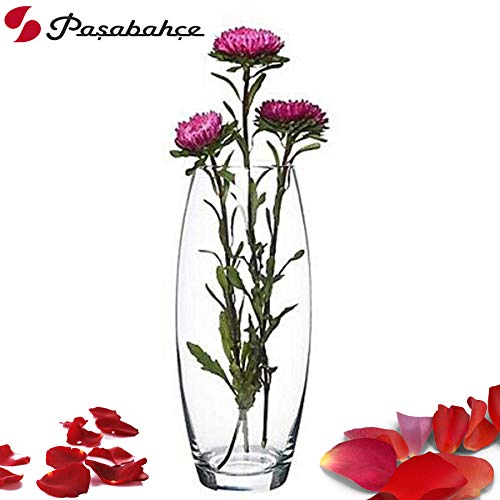 Pasabahce Glass Botanica Oblong Concave Vase 1 Pc Transparent 1715 ml Modern Glass Vase for Floral Arrangements Home Dcor and Table Centerpieces Decorative Piece for Any Room - Image 3