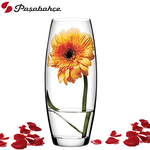 Pasabahce Glass Botanica Oblong Concave Vase 1 Pc Transparent 1715 ml Modern Glass Vase for Floral Arrangements Home Dcor and Table Centerpieces Decorative Piece for Any Room - Image 2