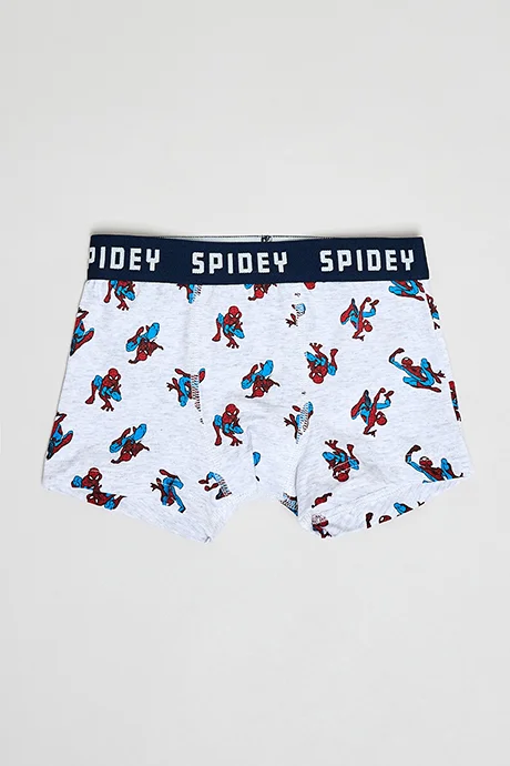 أر أند بي 3 Pack Spider-Man Print Boxers