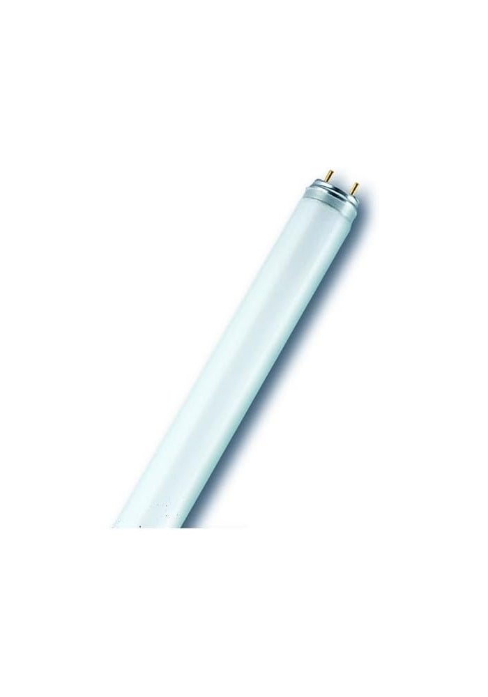 LEDVANCE Osram Fluorescent Tube Light T8 36W 6500K Daylight Pack of 10 - Image 2