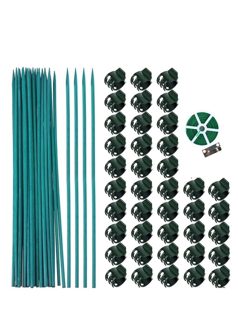 Y&D Plant Support Sticks 40 Pieces Orchid Clips Plastic Garden Clips, with Stakes, 1 Roll of 20m Metallic Twist Ties, for Supporting Stems Vines Stalks Grow Upright - Image 1