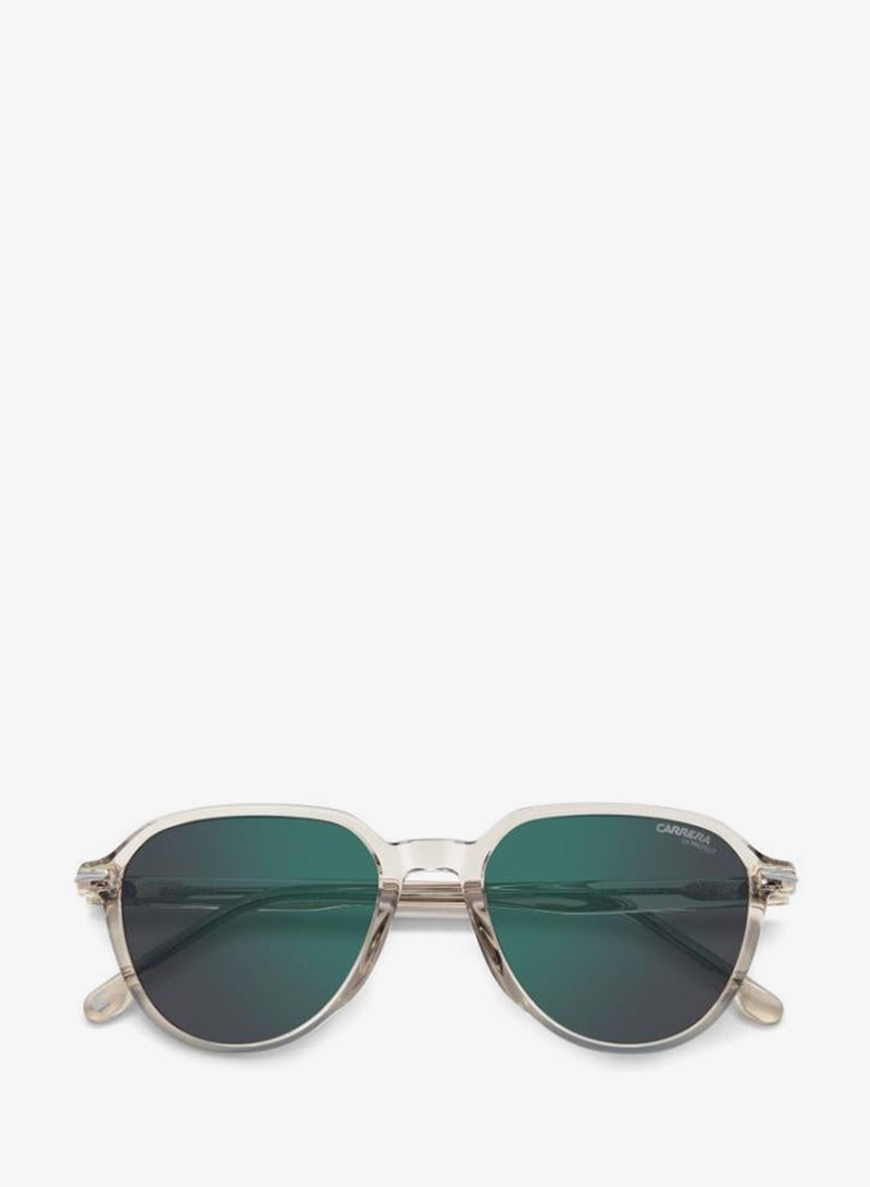 Carrera Panthos Sunglasses Frames - Image 4