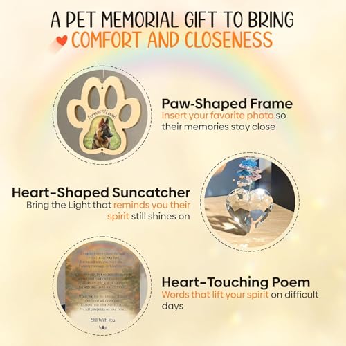 Captain Decor Pet Memorial Crystal Suncatcher with DIY Photo Insert, Personalized Sympathy Gift for Loss of Dog or Cat, Rainbow Bridge Window Hanging Bereavement Gift for Grieving Pet Owners, Lasting Remembrance - Image 3