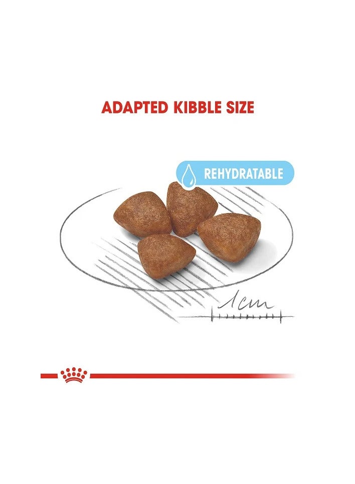 رويال كانين طعام جاف رويال كانين ستارتر للكلاب الصغيرة (حتى 10 كجم وشهرين فأكثر)، 1 كجم - Image 3