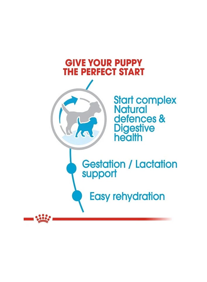 رويال كانين طعام جاف رويال كانين ستارتر للكلاب الصغيرة (حتى 10 كجم وشهرين فأكثر)، 1 كجم - Image 4