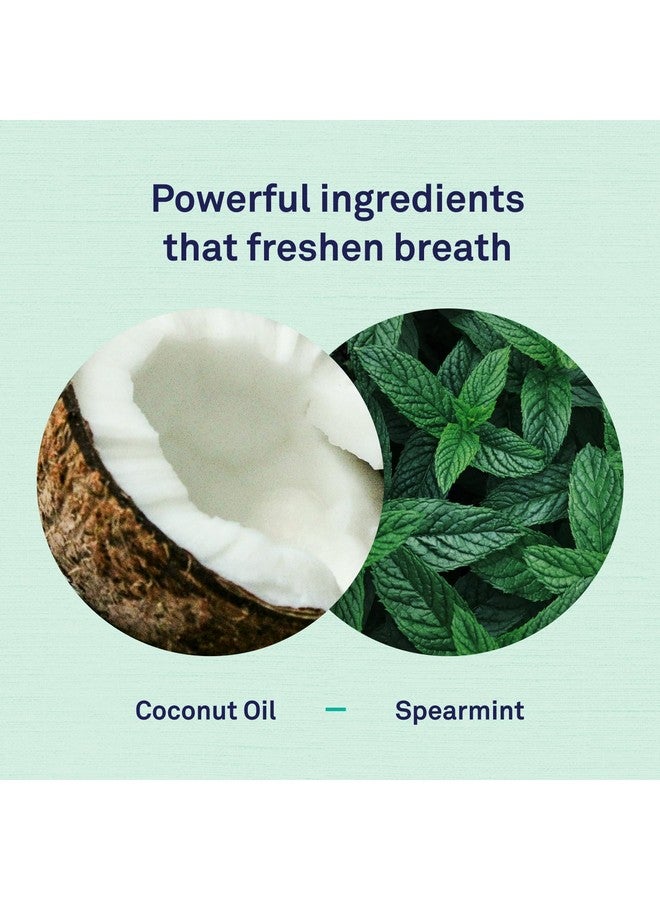 Petpost | Toothpaste for Dogs - Coconut Oil and Baking Soda Based Dental Gel That Naturally Eliminates Bad Breath - Dirt, Gunk, and Tooth Buildup Gone - Mint Flavor 4 oz. - Image 4