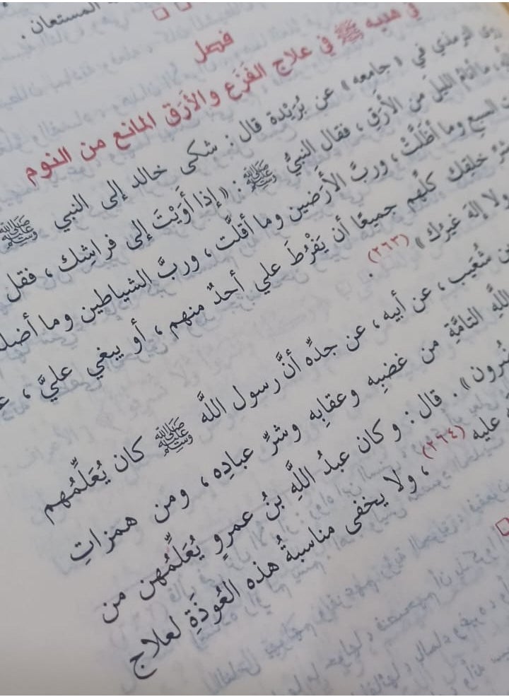 REBENUO - tab nabiin|God has not sent down any disease without sending down a cure for it Ibn Qayyim Al-Jawzi Medium size 17×24 - Image 1